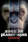 猩球崛起（系列合集 4部） Planet of the Apes (Reboot) Collection 竖版封面