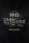 神奇动物在哪里（系列合集 3部） Fantastic Beasts Collection 竖版封面