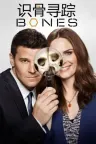 识骨寻踪 Bones 竖版封面