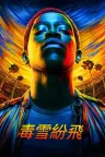 白粉飞 Snowfall 竖版封面