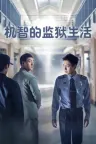 机智的监狱生活 Prison Playbook 竖版封面