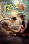 太阳的后裔 Descendants of the Sun 竖版封面