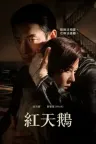 红天鹅 Red Swan 竖版封面