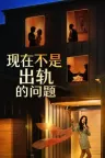 现在不是出轨的问题 The Affair Was Just the Beginning 竖版封面