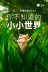 小小世界 竖版封面