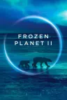 冰冻星球 Frozen Planet （BBC纪录片） 竖版封面