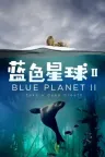 蓝色星球 Blue Planet （BBC纪录片） 竖版封面
