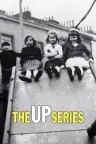 人生七年 The Up Series 竖版封面