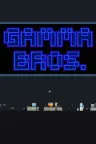 伽马绿宝石 Pokémon Gamma Emerald （gamma绿宝石） 竖版封面