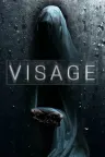 面容 Visage 竖版封面