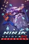 忍者外传：怒之羁绊 NINJA GAIDEN Ragebound （PC版街机） 竖版封面