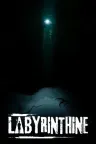 迷宫探险 Labyrinthine 竖版封面