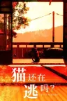 猫还在逃吗？ Still It Runs 竖版封面
