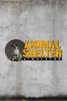 动物收容所2 Animal Shelter 2 竖版封面