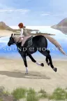 HORSES （心理暗示恐怖游戏） 竖版封面
