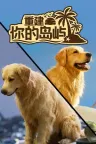 重建你的岛屿 Restore Your Island 竖版封面