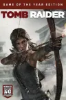 古墓丽影9 Tomb Raider Game of the Year 竖版封面