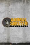 动物收容所 Animal Shelter 竖版封面