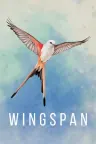 展翅翱翔 WINGSPAN 竖版封面