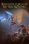 阿玛拉王国惩罚 重制版 Kingdoms of Amalur Re-Reckoning 竖版封面